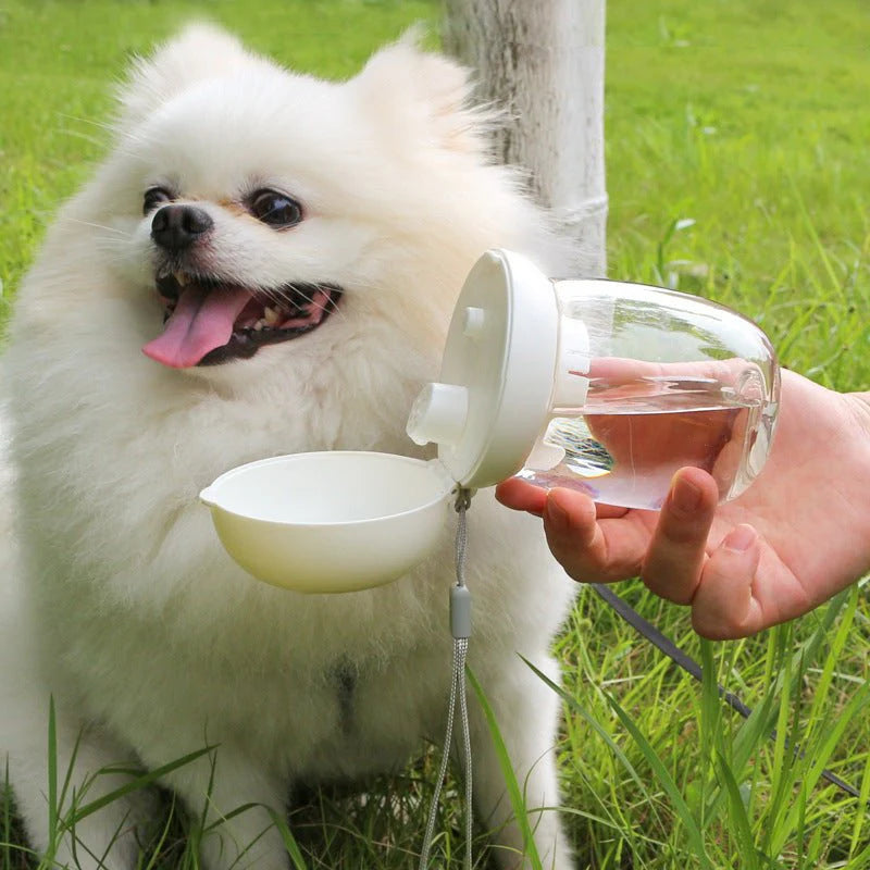 Foldable And Portable Pet Cat And Dog Outdoor Drinking Glass