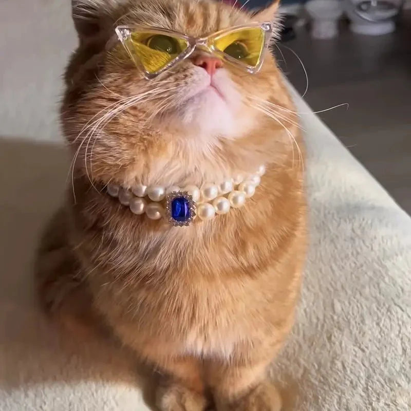 Pet Square Gem Collar Loves And Cats