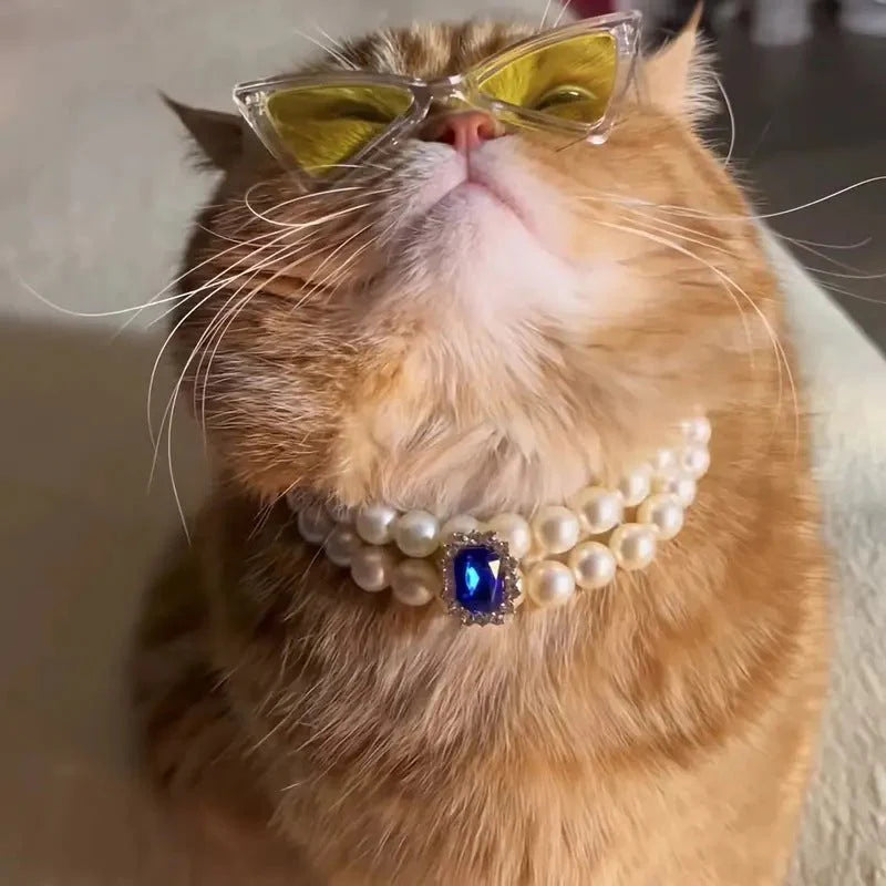 Pet Square Gem Collar Loves And Cats