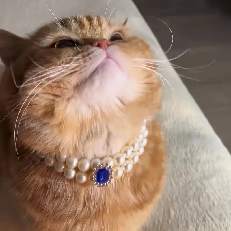 Pet Square Gem Collar Loves And Cats